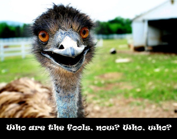 laughing-emu